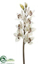 Silk Plants Direct Glittered Cymbidium Orchid Spray - White Gold - Pack of 6