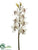 Glittered Cymbidium Orchid Spray - White Gold - Pack of 6