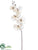 Phalaenopis Orchid Spray - Ivory Glittered - Pack of 12