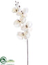 Silk Plants Direct Phalaenopis Orchid Spray - Ivory Glittered - Pack of 12