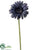 Metallic Gerbera Daisy Spray - Blue - Pack of 12