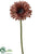 Metallic Gerbera Daisy Spray - Taupe - Pack of 12