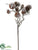 Ice Pine Cone Spray - Brown Ice - Pack of 4