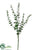 Glitter, Snow Eucalyptus Spray - White Green - Pack of 24
