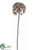Frosted Allium Spray - Brown - Pack of 12