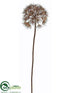 Silk Plants Direct Frosted Allium Spray - Brown - Pack of 12