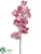 Phalaenopsis Orchid Spray - Red Snow - Pack of 12