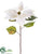 Poinsettia Spray - White Ice - Pack of 12