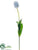 Tulip Spray - Blue Ice - Pack of 12