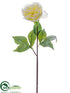 Silk Plants Direct Peony Spray - White Ice - Pack of 12