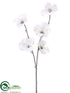 Silk Plants Direct Snowed Dogwood Spray - White - Pack of 12
