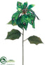 Silk Plants Direct Poinsettia Spray - Peacock - Pack of 12