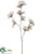 Wild Hydrangea Spray - Champagne - Pack of 12