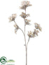Silk Plants Direct Wild Hydrangea Spray - Champagne - Pack of 12