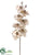 Phalaenopsis Orchid Spray - Champagne - Pack of 12