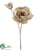Peony Spray - Champagne - Pack of 12