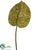 Hosta Leaf Spray - Green Gold - Pack of 12