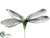 Phalaenopsis Orchid Leaf Plant - Silver - Pack of 12