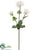 Jewel, Ice Dahlia Spray - White - Pack of 12