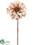 Dahlia Spray - Champagne - Pack of 12