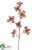 Dogwood Spray - Copper - Pack of 12