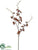 Glitter Oncidium Orchid Spray - Brown - Pack of 12