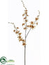 Silk Plants Direct Glitter Oncidium Orchid Spray - Mauve Beige - Pack of 12