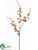 Glitter Oncidium Orchid Spray - Mauve Beige - Pack of 12