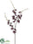 Glitter Oncidium Orchid Spray - Plum - Pack of 12