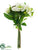 Helleborus, Skimmia Bouquet - Cream Green - Pack of 6