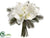 Amaryllis, Pine Bouquet - White - Pack of 6