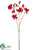 Magnolia Spray - Red - Pack of 12