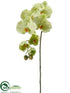 Silk Plants Direct Phalaenopsis Orchid Spray - Green Cream - Pack of 12