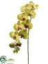 Silk Plants Direct Phalaenopsis Orchid Spray - Green Fuchsia - Pack of 6