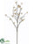 Wild Fuchsia Spray - Cream - Pack of 12