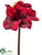 Amaryllis Pick - Burgundy - Pack of 24