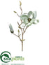 Silk Plants Direct Magnolia Spray - Green - Pack of 12