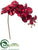 Phalaenopsis Orchid Spray - Red - Pack of 12