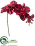 Silk Plants Direct Phalaenopsis Orchid Spray - Red - Pack of 12