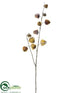Silk Plants Direct Chinese Lantern Spray - Brown Ice - Pack of 12