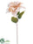 Poinsettia Spray - Champagne - Pack of 12