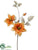 Clematis Spray - Yellow Gold - Pack of 12