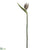 Bird of Paradise Spray - Gold Green - Pack of 6