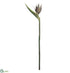 Silk Plants Direct Bird of Paradise Spray - Gold Green - Pack of 6