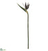 Silk Plants Direct Bird of Paradise Spray - Silver Green - Pack of 6