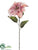 Poinsettia Spray - Pink - Pack of 12