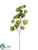 Grape Ivy Leaf Spray - Green - Pack of 12