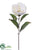 Magnolia Spray - White - Pack of 12