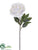 Peony Spray - White - Pack of 12