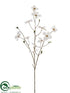 Silk Plants Direct Dogwood Spray - White - Pack of 12